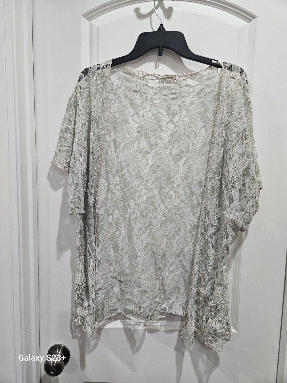 Blue Bird Sheer Lace Top in Ivory